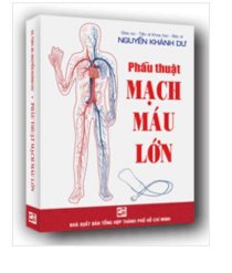 Phẫu thuật mạch máu lớn