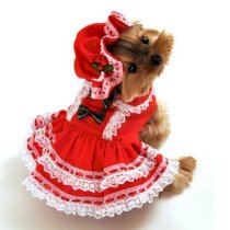 Miss Santa Baby Dog Costume