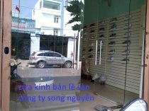 Cửa kính bản lề Song Nguyễn SN-CK1 10mm 