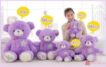 Gấu Teddy Lavender size S