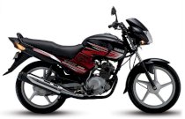 Yamaha YBR125 2014 (Đỏ đen)
