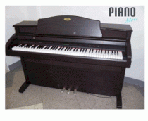 Đàn piano điện Kawai PW1200