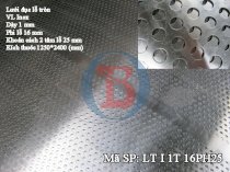 Lưới đột lỗ tròn LT I 1T 16PH25