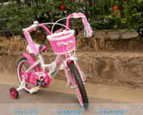 Xe đạp trẻ em Phượng Hoàng nhiều màu sắc XTD-063