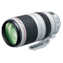 Lens Canon EF 100-400mm F4.5-5.6L II USM