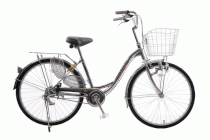 Xe đạp thời trang  Martin 107 MT-600 Xi (24")