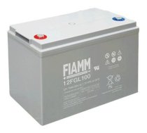 Ắc quy FIAMM 12FGL120