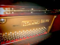 Đàn Piano Rolex KR88