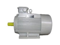 Động cơ điện GUANGLU Y3-200L1-6