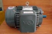 Động cơ điện YFL YM06011 (1/2hp)