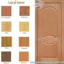 Cửa gỗ HDF Veneer HDF-V3