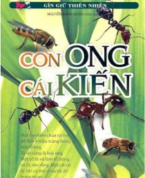 Gìn giữ thiên nhiên - con ong cái kiến