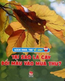  Tại Sao Lá cây Đổi Màu Mùa Thu