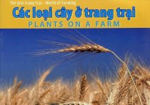 Thế giới trang trại - các loại cây ở trang trại (song ngữ anh-việt)