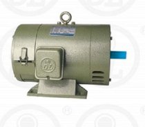 Mô tơ điện DC Dolin DL SH 198V 1.5kW