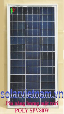 Pin năng lượng mặt trời Poly SPV80P