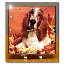 3drose Basset Hound Desk Clock, 6 by 6-Inch