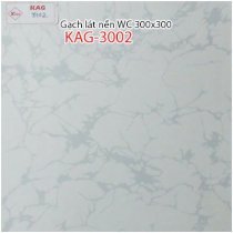 Gạch lát WC trang trí 300x300 KAG-3002