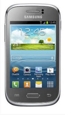 Samsung Galaxy Young S6310 (GT-S6310) Silver