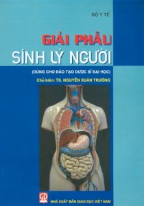 Giải phẫu sinh lý người