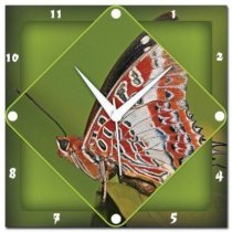 WebPlaza Butterfly Analog Wall Clock (Multicolor) 