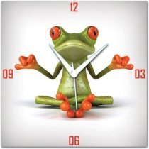 WebPlaza Zen Frog Analog Wall Clock (Multicolor) 