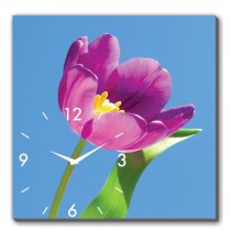 Đồng hồ tranh hoa tulip tím Dyvina 1T3030-14