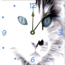 Rikki KnightTM White Cat with Blue Eyes Design 6" Art Desk Clock