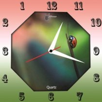 Lycans Anti 0043 Analog Wall Clock (Green) 