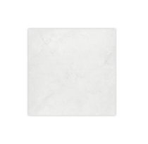 Ceramic lát sàn Bạch Mã C40041 40x40