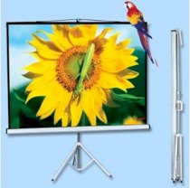 Màn chiếu 3 chân Hpec 96x96 (136 inch) 