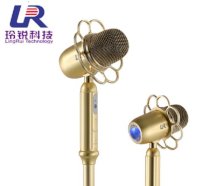 Micro đứng có dây Lingrui XQT-W