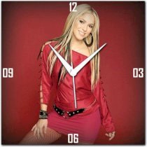 Amore Shakira 113490 Analog Wall Clock (Multicolor)