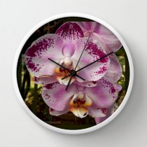 Đồng hồ treo tường Society6 Pink Orchid Blossom from Mexico