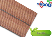 Sàn gỗ tự nhiên ngoài trời Căm Xe TecWood 20x100x1000mm