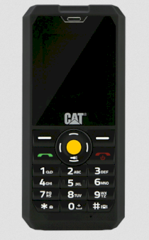 Cat B30