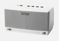 Loa Roland Cube lite monitor