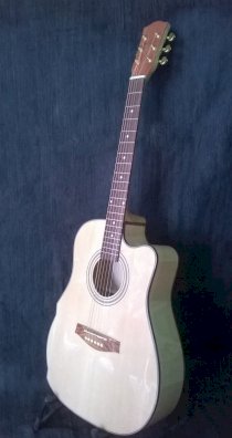 Guitar gỗ Maple