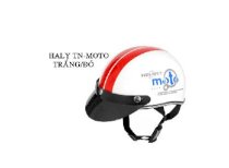 Mũ bảo hiểm xe máy Andess Haly- Tem Moto