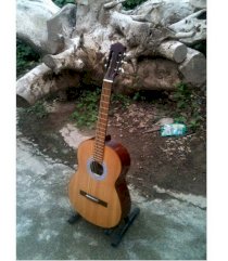 Đàn Guitar Acoustic D15D