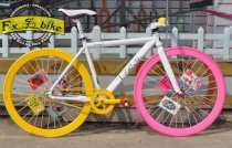 Xe Đạp Fixed Gear Plicote (Trắng)