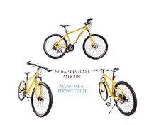 Xe đạp địa hình Fornix MTB300 - Vàng
