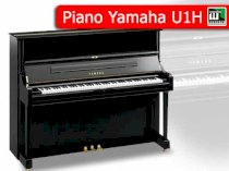 Đàn Piano Yamaha U1G Serial 1266548