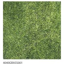 Gạch lát sân vườn Đồng Tâm 4040GRASS001