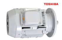 Động cơ điện mặt bích Toshiba IK 112M 3kW-220V