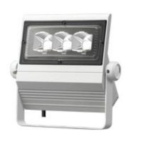 Đèn chiếu bảng hiệu Led Iwasaki ECF0481N/SA1/2/2.4 40W