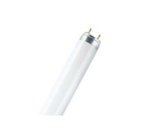 Bóng đèn huỳnh quang Lumilux T8 Osram L 36W/840LUMILUX 25X1 EN NCE