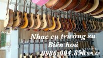 Đàn guitar các loại 5609080