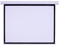 Màn chiếu treo tường DALITE 113 inch (2.03 x 2.03m)