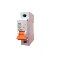 Cầu dao tự động MCB LS BKN-b 1P 50-63A